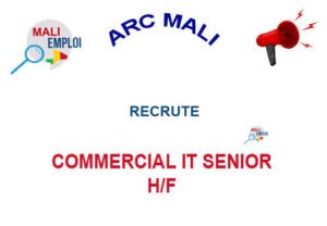 ARC MALI RECRUTE COMMERCIAL IT SENIOR H/F COMIT