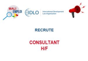 IDLO RECRUTE CONSULTANT H/F CONSL