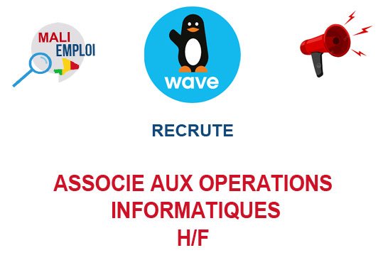 WAVE MALI RECRUTE ASSOCIE AUX OPERATIONS INFORMATIQUES H/F