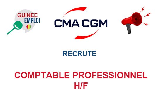 CMA CGM GUINEE RECRUTE COMPTABLE PROFESSIONNEL H/F