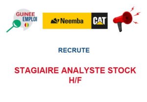 NEEMBA GUINEE RECRUTE STAGIAIRE H/F STG-ANA