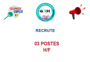 GRH SERVICES GUINEE RECRUTE 03 POSTES H/F image