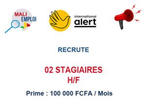 02-STG
