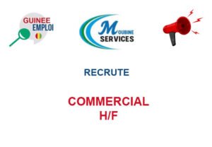 MOUBINE SERVICE RECRUTE COMMERCIAL H/F COMM