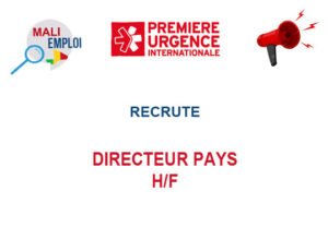 PREMIERE URGENCE INTERNATIONALE RECRUTE DIRECTEUR PAYS H/F PREME