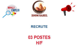 ZOOM SAHELL RECRUTE 03 POSTES H/F ZOOOM