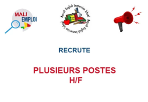 MASSOK ENGLISH IMMERSION SCHOOL RECRUTE PLUSIEURS POSTES H/F image