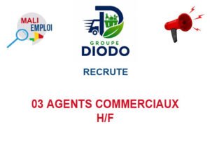 GROUPE DIODO RECRUTE 03 AGENTS COMMERCIAUX H/F 03-AGTS-COM