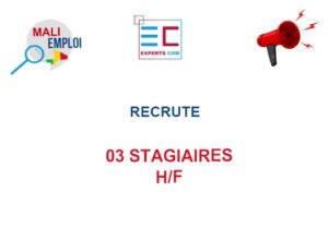 EXPERTS COM MALI RECRUTE 03 STAGIAIRES H/F 03-STG