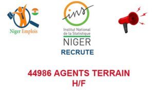 INS NIGER RECRUTE 44986 AGENTS DE TERRAIN H/F 4498