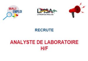 LITHIUM DU MALI RECRUTE ANALYSTE DE LABORATOIRE H/F ANAL