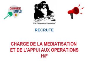 LA WILD CHIMPANZEE FOUNDATION EN GUINEE RECRUTE CHARGE DE LA MEDIATISATION ET DE L'APPUI AUX OPERATIONS H/F CHARMED