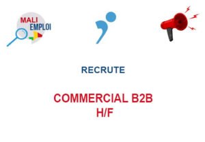 INTELIS RECRUTE COMMERCIAL B2B H/F COMMERB2B