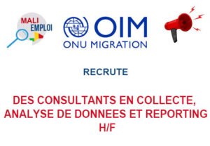OIM MALI RECRUTE DES CONSULTANTS EN COLLECTE, ANALYSE DE DONNEES ET REPORTING H/F CONSUL