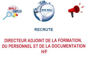 BVG MALI RECRUTE DIRECTEUR ADJOINT DE LA FORMATION, DU PERSONNEL ET DE LA DOCUMENTATION H/F DIRADJOIN