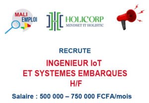 HOLICORP RECRUTE INGENIEUR IoT et SYSTEMES EMBARQUES H/F INGEN