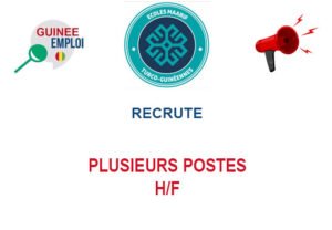 GROUPE MAARIF GUINEE RECRUTE PLUSIEURS POSTES H/F PLPOS