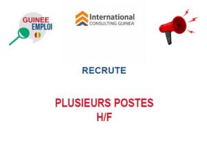INTERNATIONAL CONSULTING GUINEA RECRUTE PLUSIEURS POSTES H/F PLPOSTES