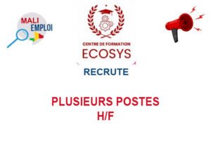 ECOSYS MALI RECRUTE PLUSIEURS POSTES H/F PLPSSS
