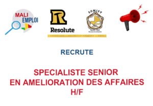 SOMISY RECRUTE SPECIALISTE SENIOR EN AMELIORATION DES AFFAIRES H/F SPEC