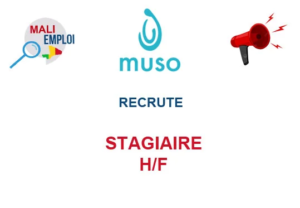 MUSO RECRUTE STAGIAIRE H/F image