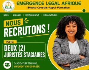 EMERGENCE LEGAL AFRICA RECRUTE 02 JURISTES STAGIAIRES H/F 1787922908660
