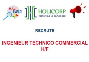 HOLICORP RECRUTE INGENIEUR TECHNICO COMMERCIAL H/F INGTEC