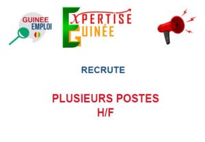 EXPERTISE GUINEE RECRUTE PLUSIEURS POSTES H/F PLPOS