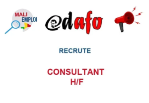 ADAFO RECRUTE CONSULTANT H/F image