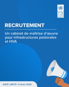 PNUD MALI RECRUTE UN CABINET image